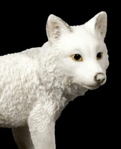 Weisse Wolf Figur - Welpe Stehend -FIGUREN Verkäufe Weisse Wolf Figur Welpe Stehend 5 1280x1280